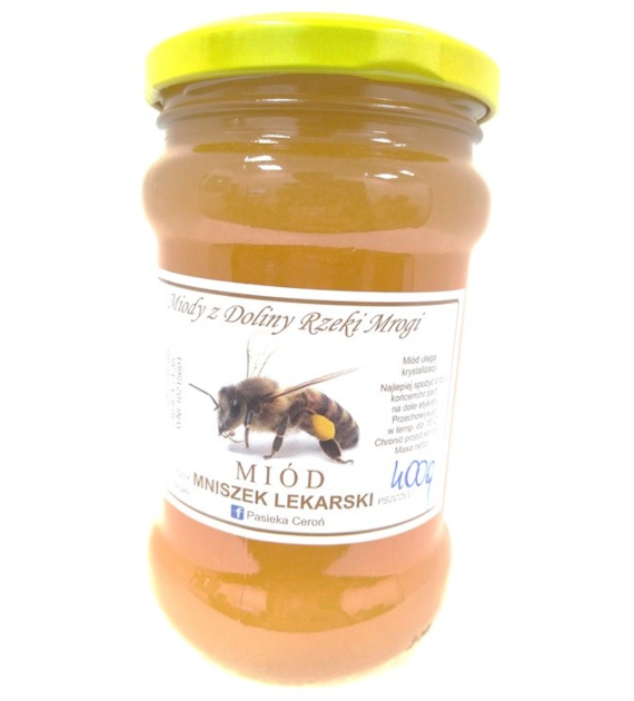 Miód z mniszka lekarskiego 400 g