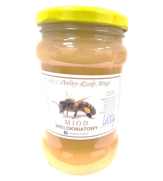 Miód wielokwiatowy 400 g