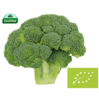 Brokuł BIO IMPORT 1 kg