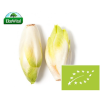 Cykoria BIO IMPORT 1 kg
