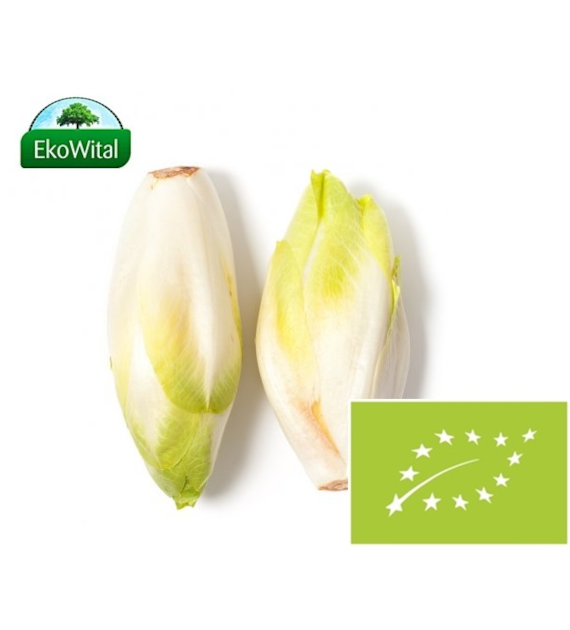 Cykoria BIO IMPORT 1 kg