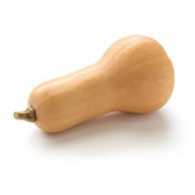 Dynia Butternut Piżmowa BIO IMPORT 1 kg