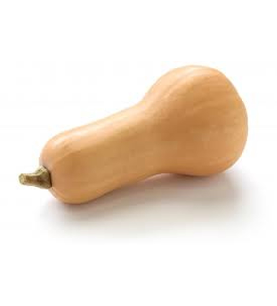 Dynia Butternut Piżmowa BIO IMPORT 1 kg