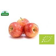 Jabłko BIO IMPORT 1 kg