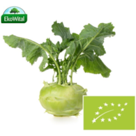 Kalarepa BIO IMPORT 1 szt