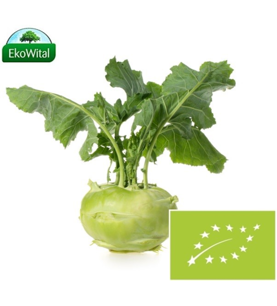 Kalarepa BIO IMPORT 1 szt