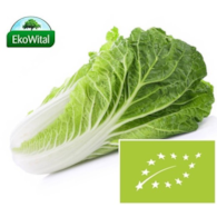 Kapusta pekińska BIO IMPORT 1 kg