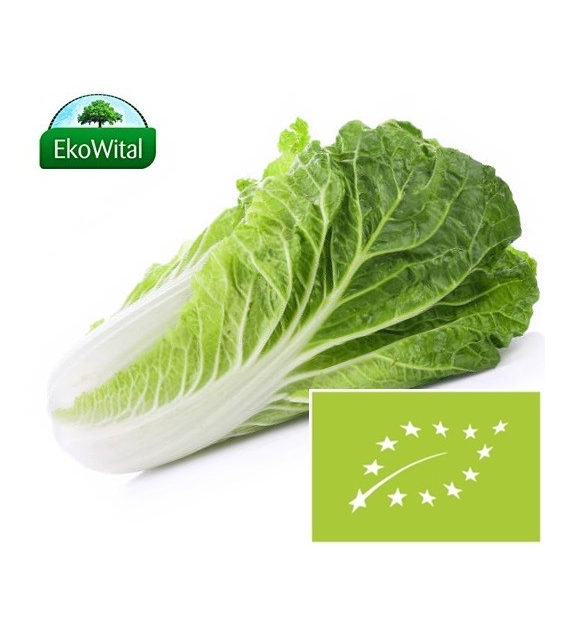 Kapusta pekińska BIO IMPORT 1 kg