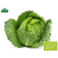 Kapusta włoska BIO IMPORT 1 kg