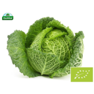 Kapusta włoska BIO IMPORT 1 kg