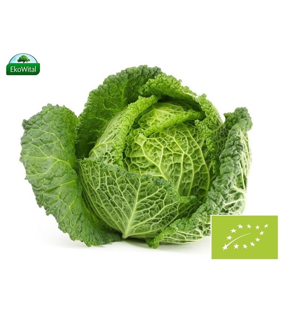 Kapusta włoska BIO IMPORT 1 kg