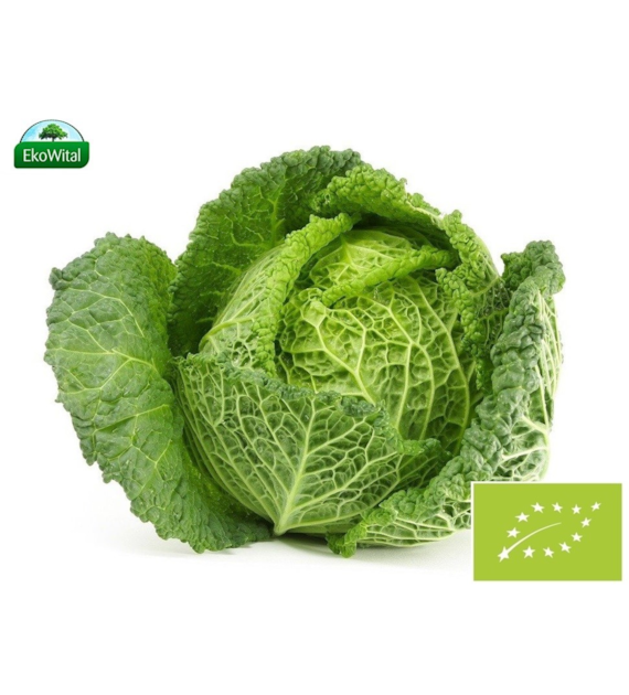 Kapusta włoska BIO IMPORT 1 kg