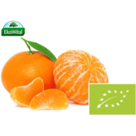 Mandarynka BIO IMPORT 1 kg