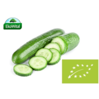 Ogórek długi BIO IMPORT 1 szt