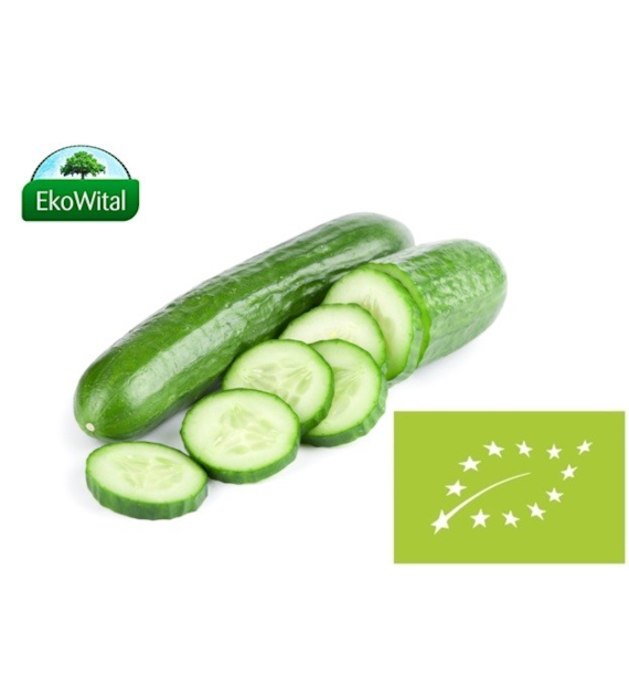 Ogórek długi BIO IMPORT 1 szt