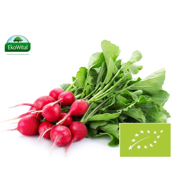 Rzodkiewka BIO IMPORT 1 szt