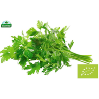 Natka pietruszki pęczek BIO IMPORT 1 szt (SPRZEDAŻ PO 5 SZT)