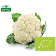 Kalafior BIO IMPORT 1 szt