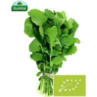 Rukola BIO IMPORT 100 g