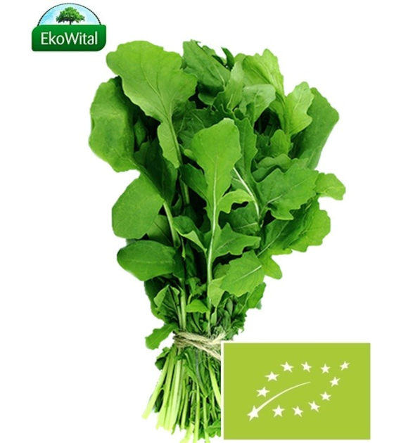 Rukola BIO IMPORT 100 g