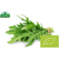 Rukola wąskolistna BIO 100 g
