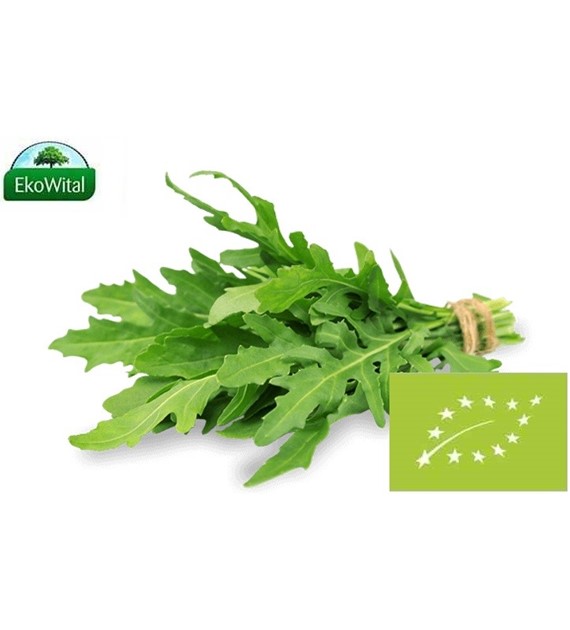 Rukola wąskolistna BIO 100 g