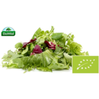 Sałata mix BIO 100 g