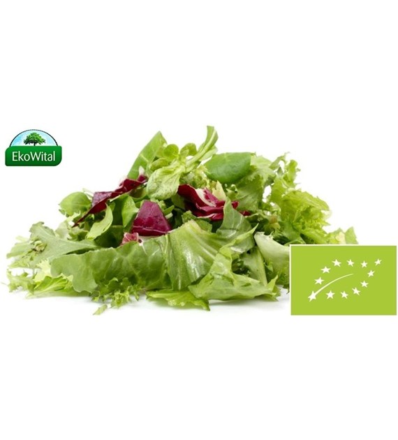 Sałata mix BIO 100 g