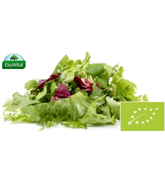 Sałata mix BIO 100 g