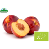 Nektarynka BIO IMPORT 1 kg