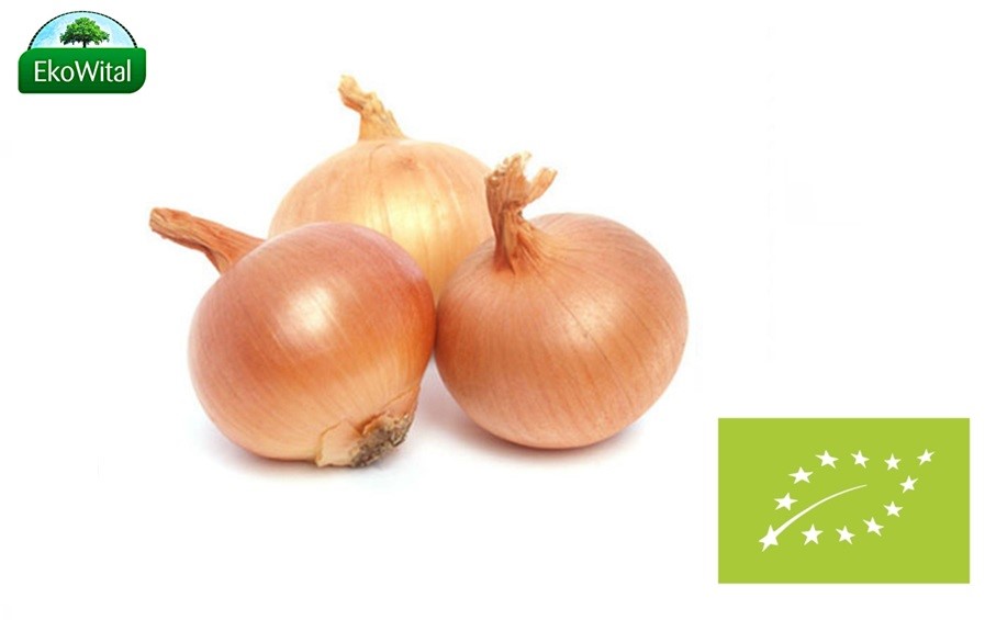 Cebula (żółta) BIO IMPORT 1 kg #
