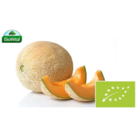 Melon Kantalupa BIO IMPORT 1 kg