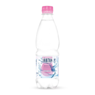 Woda źródlana średniozmineralizowana delikatne gazowana 500 ml