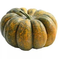 Dynia Moscata BIO IMPORT 1 kg