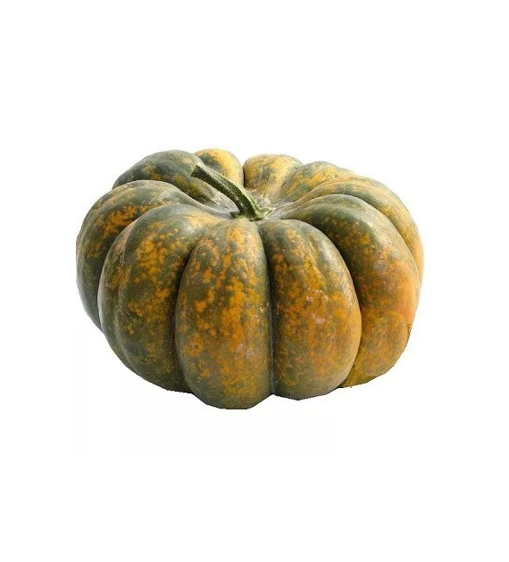 Dynia Moscata BIO IMPORT 1 kg