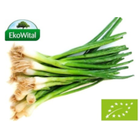 Szczypiorek BIO IMPORT 1 szt