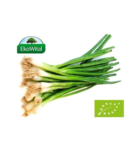 Szczypiorek BIO IMPORT 1 szt