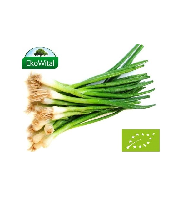 Szczypiorek BIO IMPORT 1 szt