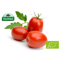 Pomidor rzymski BIO IMPORT 1 kg