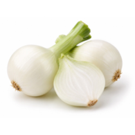 Cebula biała (młoda) BIO 1 kg #