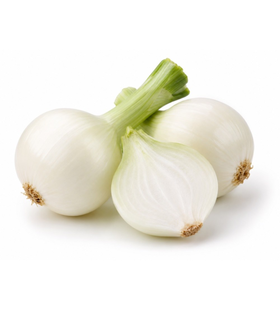 Cebula biała (młoda) BIO 1 kg #