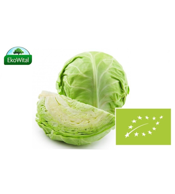 Kapusta biała BIO IMPORT 1 kg