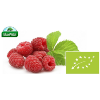 Malina BIO IMPORT 125 g