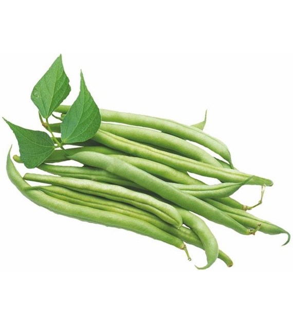 Fasolka szparagowa zielona BIO IMPORT 1 kg