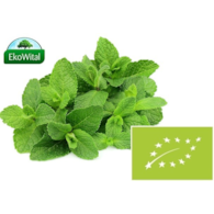 Mięta BIO 50 g