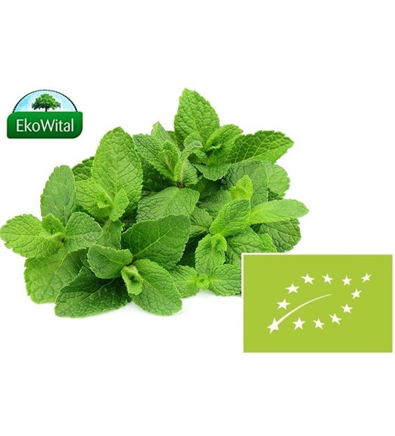 Mięta BIO 50 g
