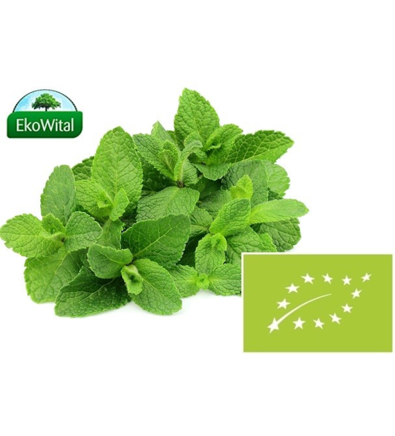 Mięta BIO 50 g