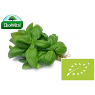 Bazylia BIO 50 g