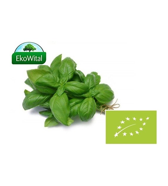 Bazylia BIO 50 g