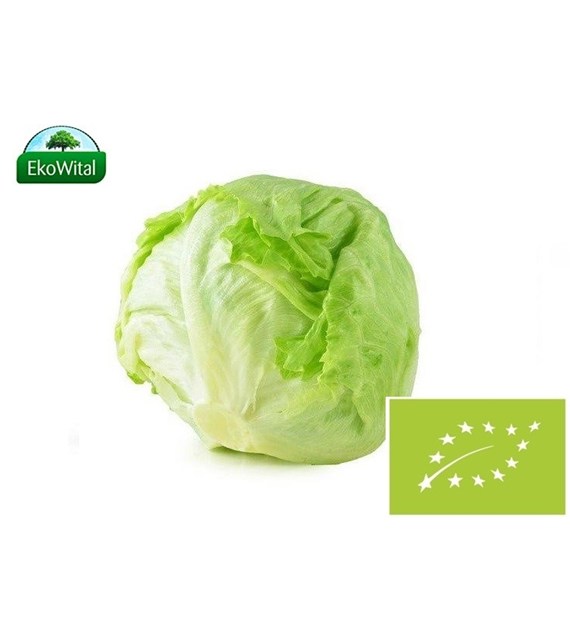 Sałata Lodowa BIO 1 szt